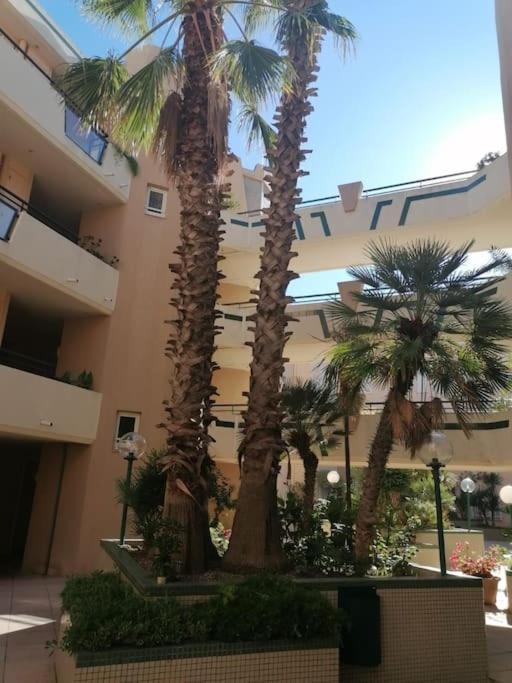 Appartement Vue Mer セット エクステリア 写真